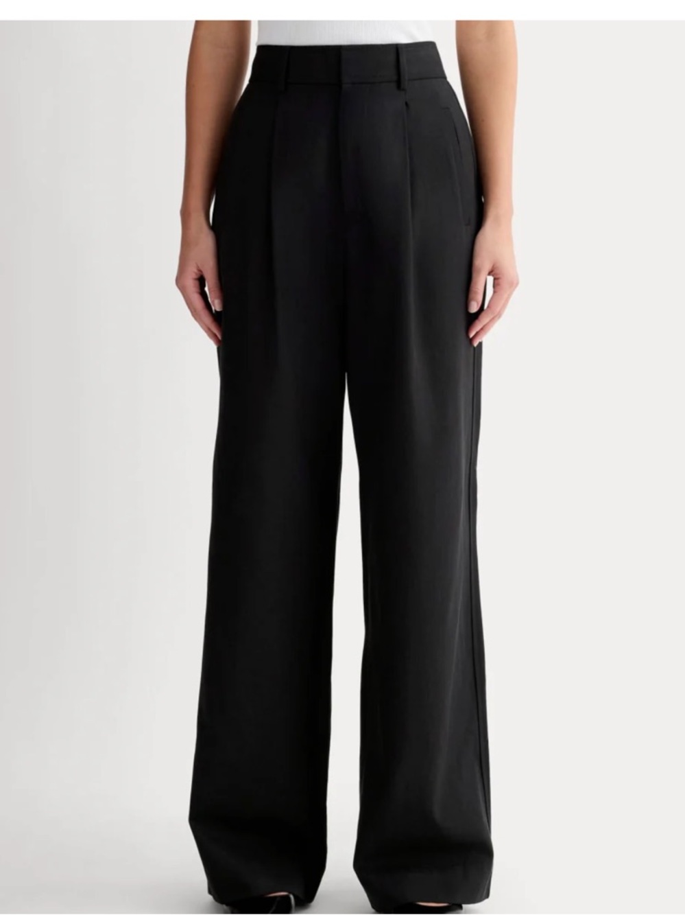 Everlane Black Wide Leg Pants